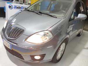 ant-sx